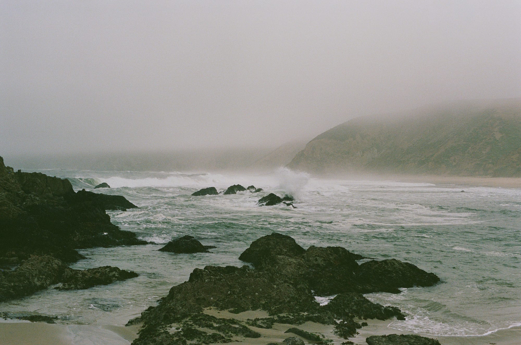 The Pacific Ocean photographed from Point Reyes coastline