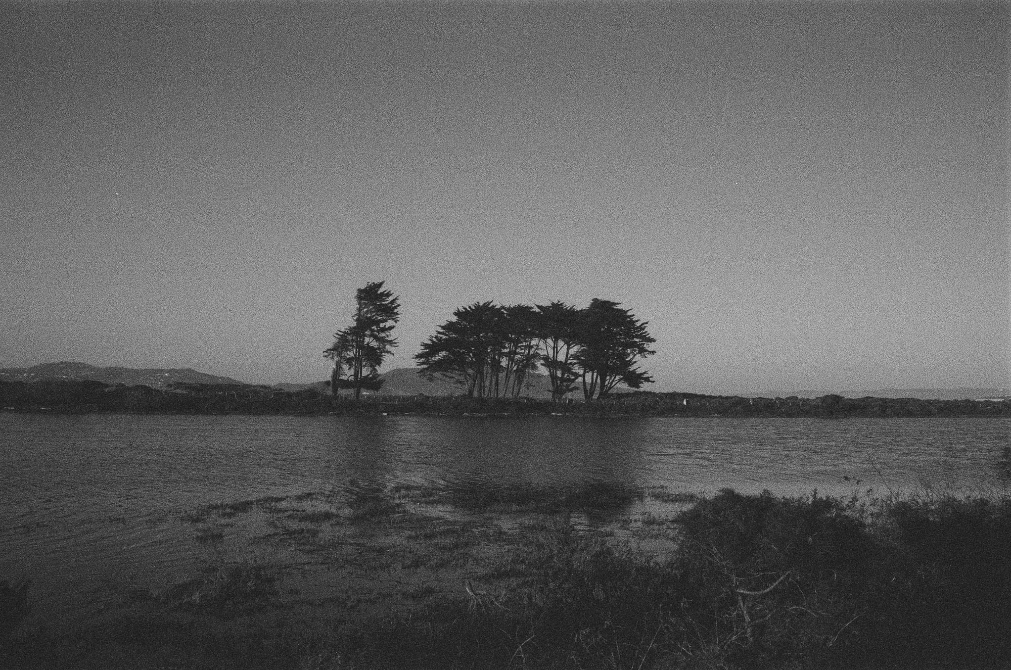 A black-and-white nighttime photograph of a body of water in the Bay Area.